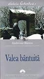 Cover of Valea bântuită