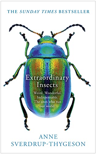 Cover of Extraordinary Insects: Weird. Wonderful. Indispensable. The ones who run our world