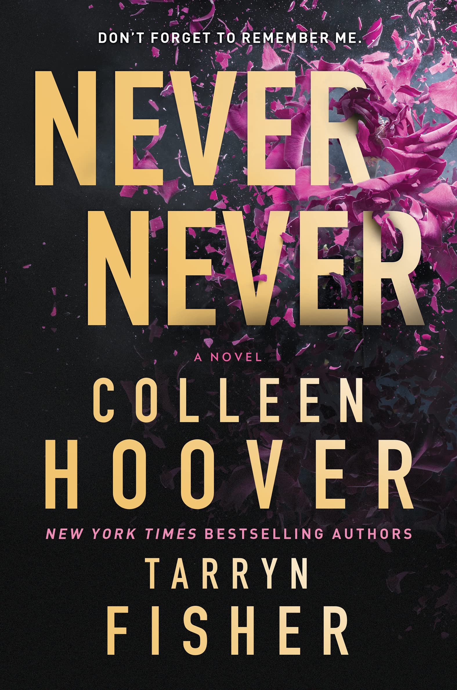 Cover of Never Never: A Novel