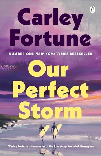 Cover of Our Perfect Storm