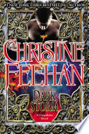 Cover of Dark Storm