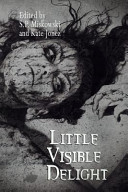 Cover of Little Visible Delight