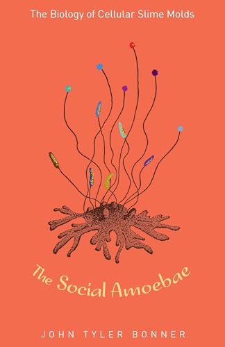 Cover of The Social Amoebae: The Biology of Cellular Slime Molds