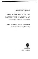 Cover of The Afternoon of Monsieur Andesmas