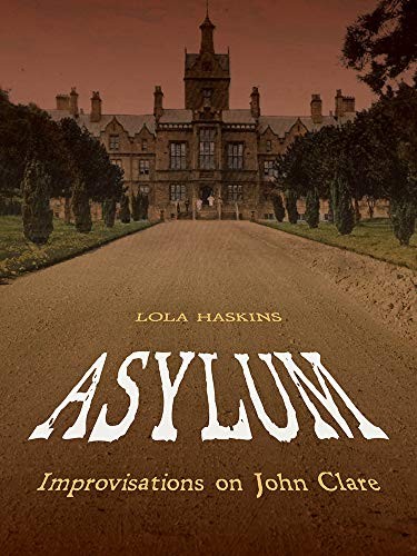 Cover of Asylum