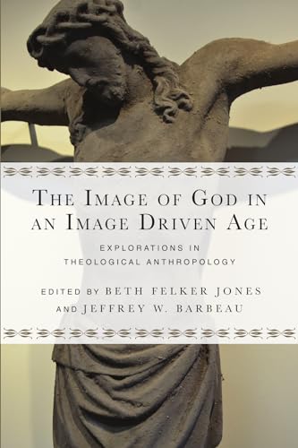 Cover of The Image of God in an Image Driven Age: Explorations in Theological Anthropology