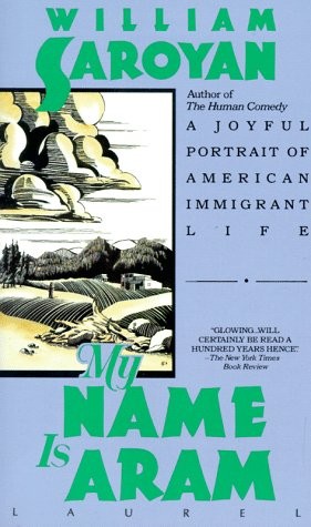 Cover of My Name Is Aram
