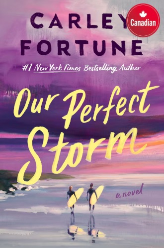 Cover of Our Perfect Storm