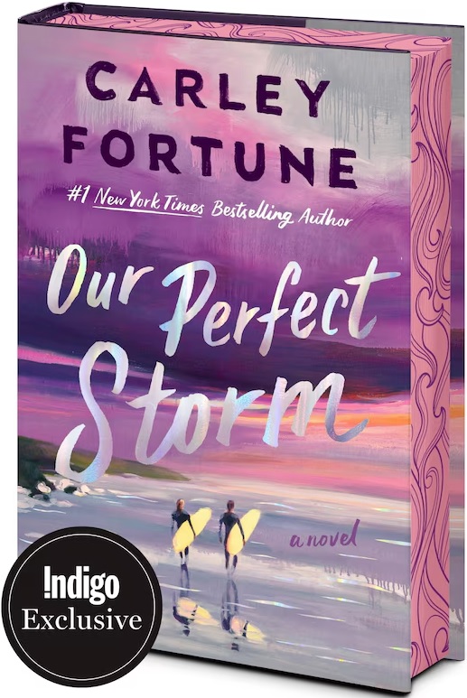 Cover of Our Perfect Storm
