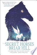 Cover of The Secret Horses of Briar Hill