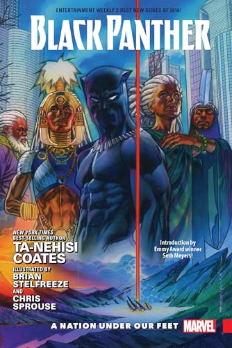Cover of Black Panther, Vol. 1: A Nation Under Our Feet