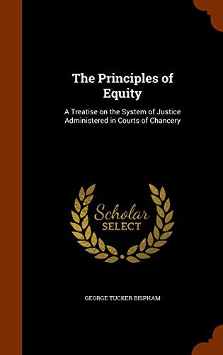 Cover of The Principles of Equity
