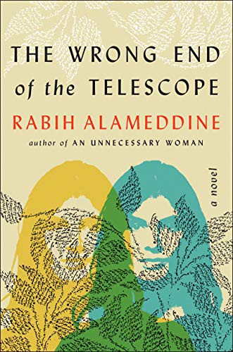 Cover of The Wrong End of the Telescope