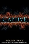 Cover of Captive: A Guard's Tale from Malachi's Perspective