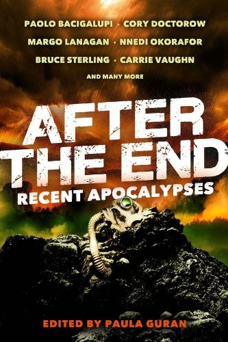 Cover of After the End: Recent Apocalypses