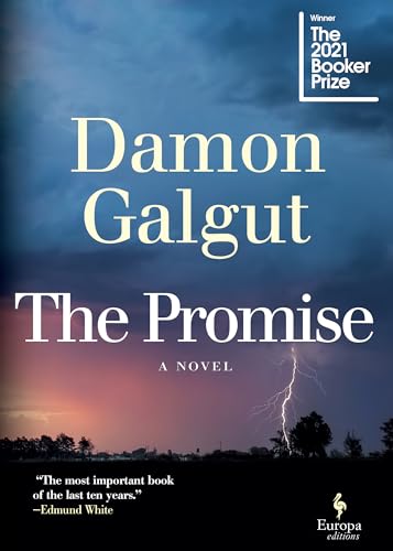 Cover of The Promise
