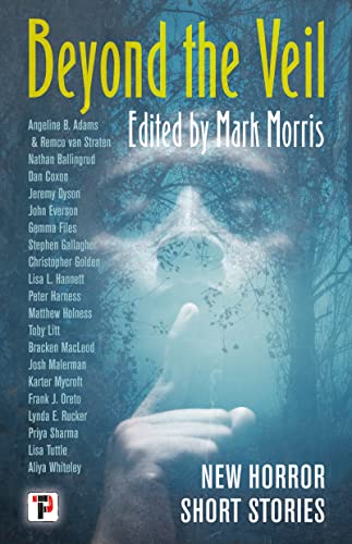 Cover of Beyond the Veil