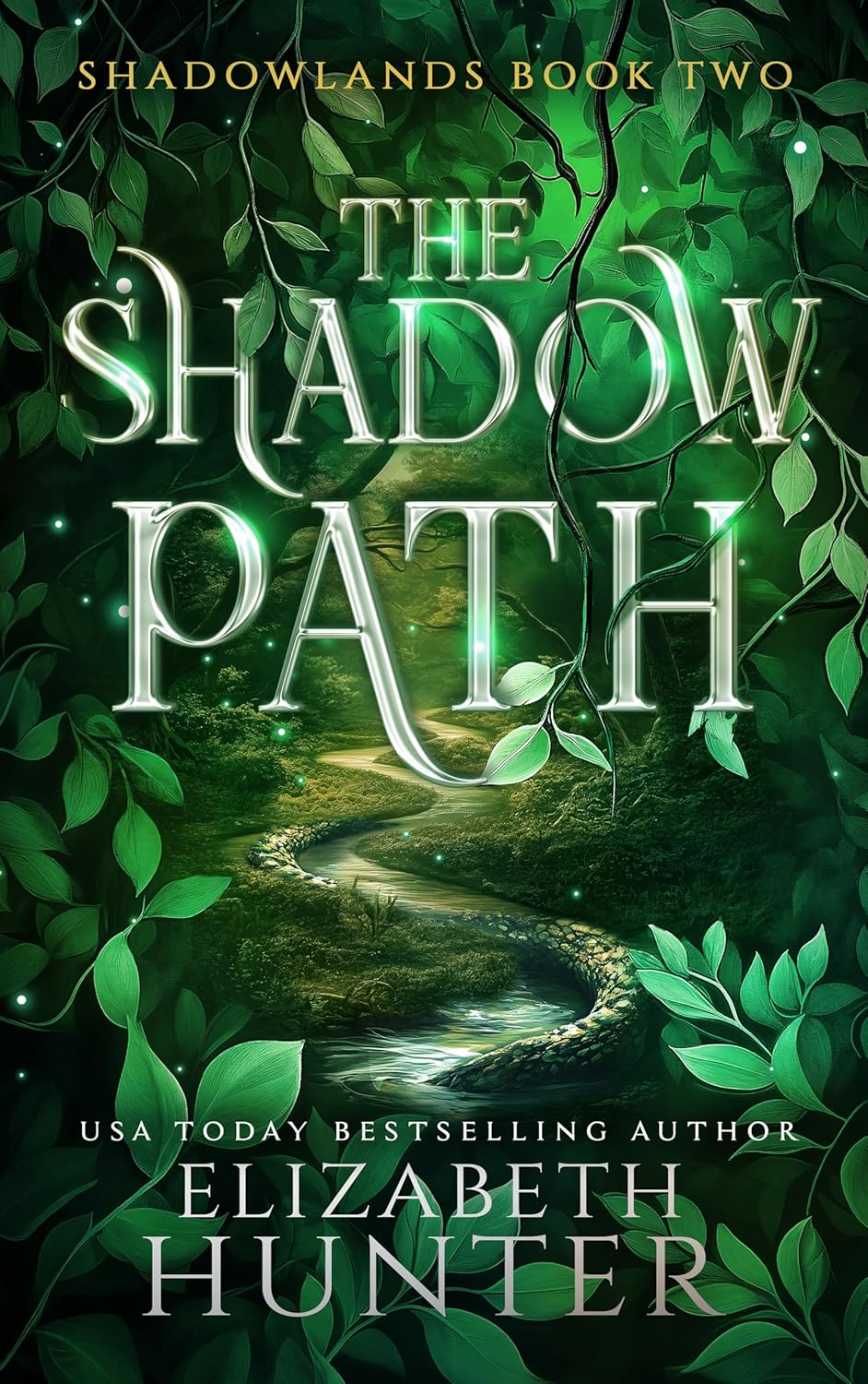 Cover of The Shadow Path