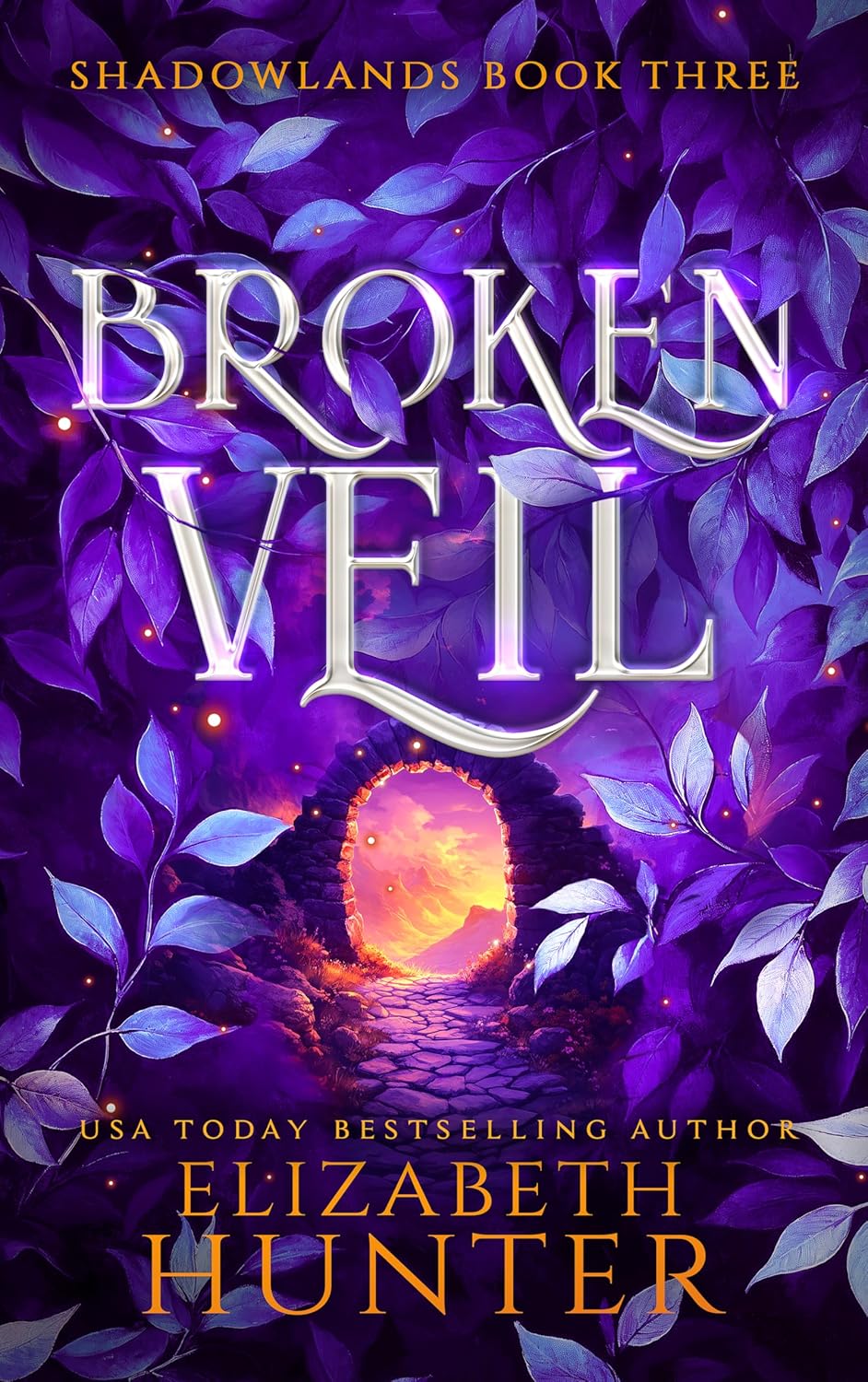 Cover of Broken Veil