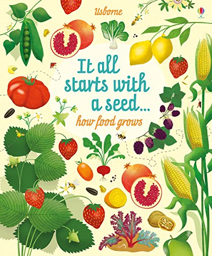 Cover of Usborne Big Picture Book How Food Grows