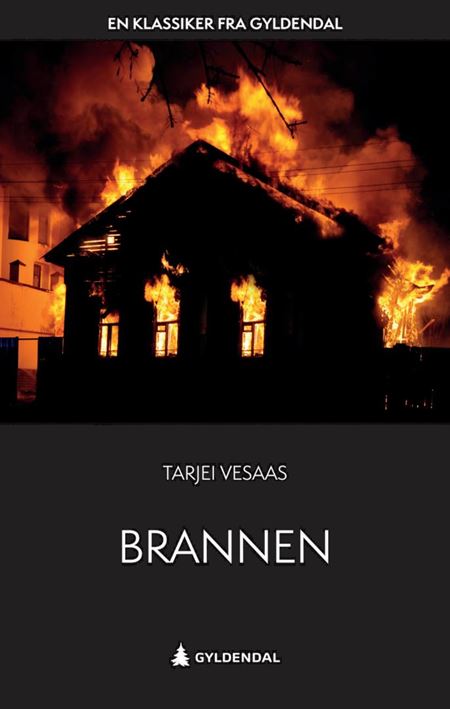 Cover of Brannen