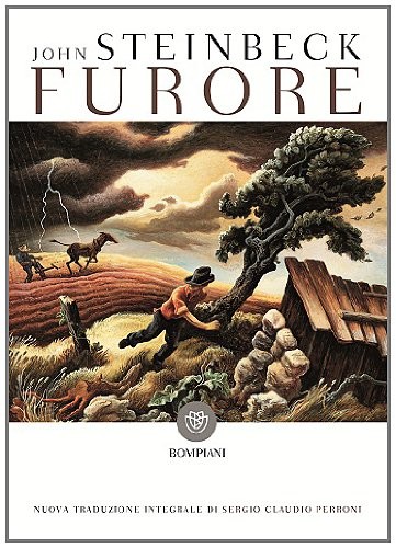 Cover of Furore