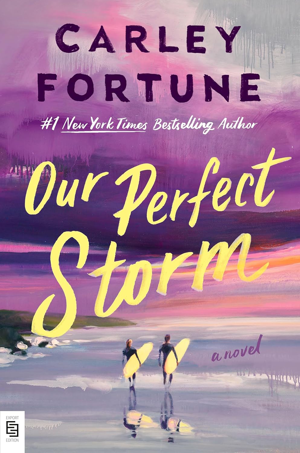 Cover of Our Perfect Storm
