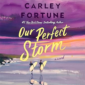 Cover of Our Perfect Storm