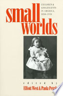 Cover of Small Worlds