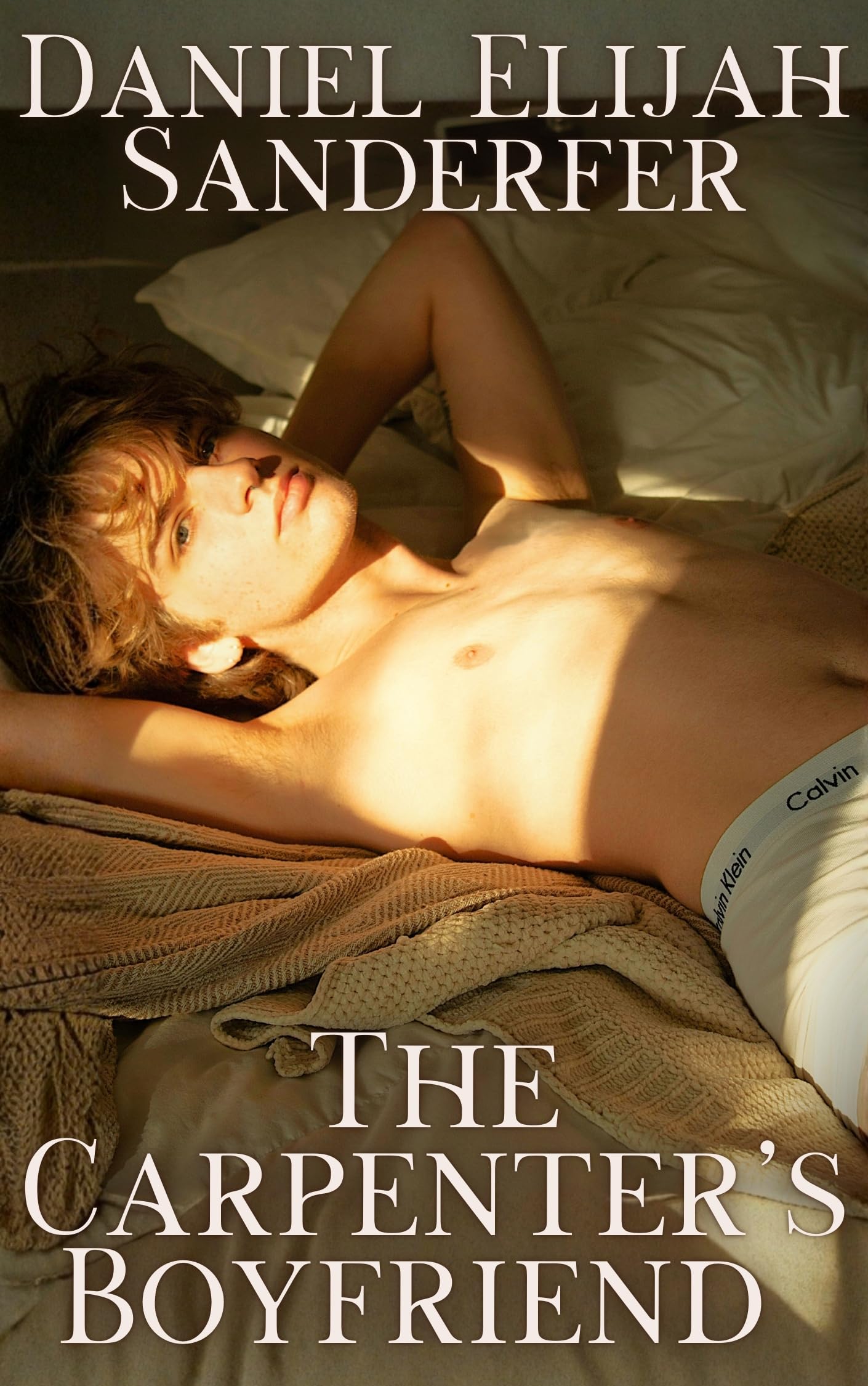 Cover of The Carpenter's Boyfriend